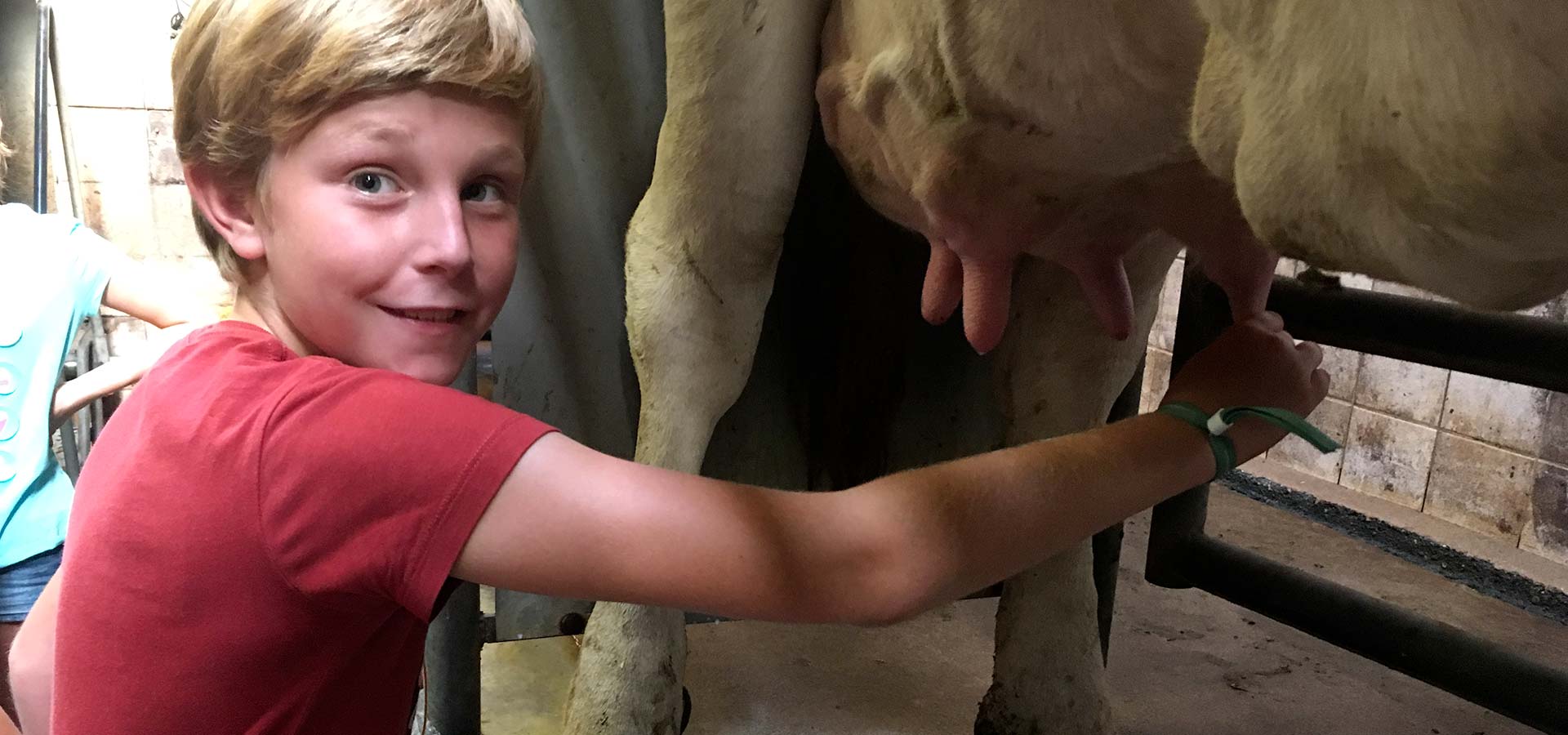 De-Vierhoekhoeve-header-home-boerderijklassen