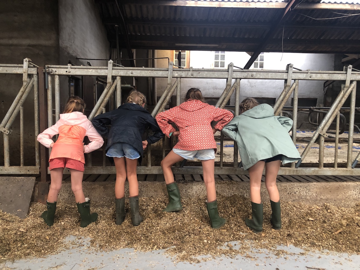 De Vierhoekhoeve Boerderijvakantie 2021 Galerij 05